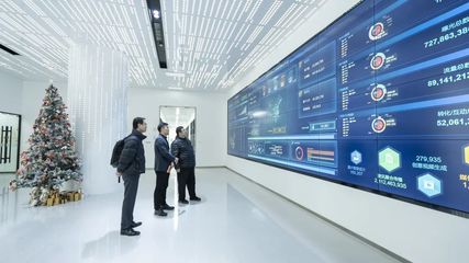 攜手共進(jìn)，開創(chuàng)信息服務(wù)新篇章——上海市信息服務(wù)業(yè)行業(yè)協(xié)會秘書長陸雷一行蒞臨珍島集團(tuán)調(diào)研